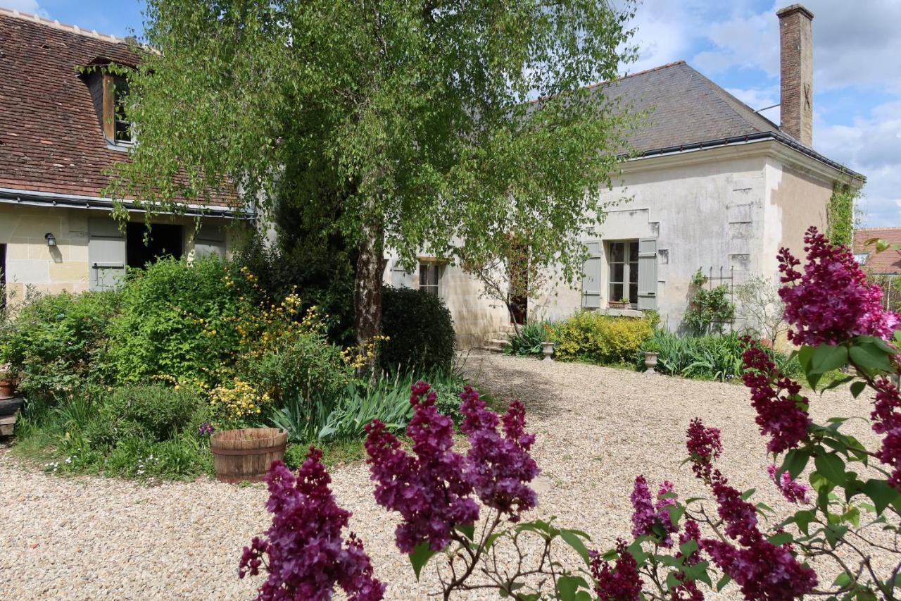 Près des châteaux de la Loire et du zoo de Beauval Céré-la-Ronde Extérieur photo
